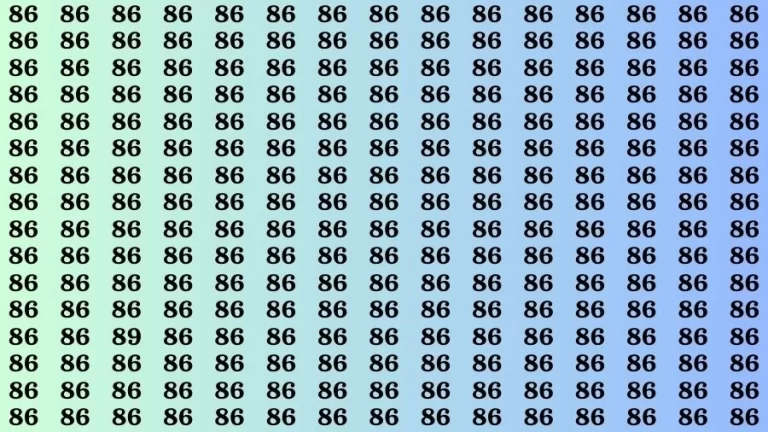 Optical Illusion: If you have Extra Sharp Eyes Find the number 89 in 10 Secs