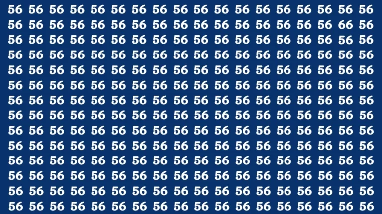 Observation Brain Challenge: If you have Hawk Eyes Find the Number 66 in 15 Secs