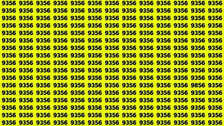 Observation Find it Out: If you have Eagle Eyes Find the number 9856 among 9356 in 13 Secs