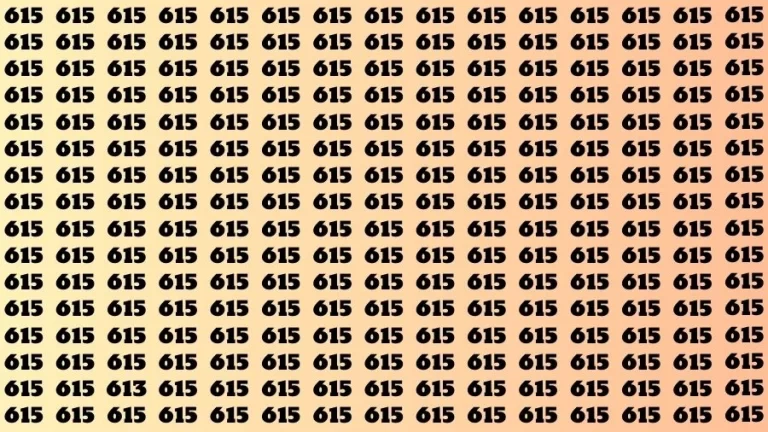 Observation Visual Test: If you have Hawk Eyes Find the Number 613 among 615 in 15 Secs