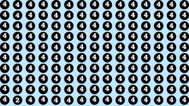 Observation Brain Challenge: If you have Hawk Eyes Find the Number 2 among 4 in 12 Secs