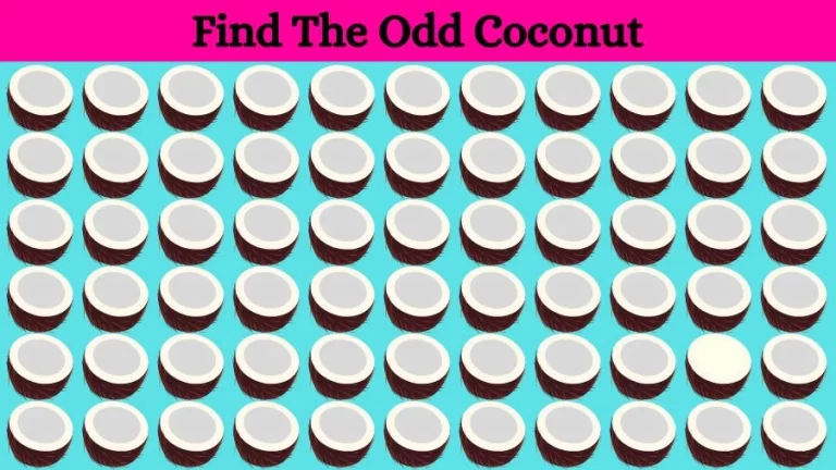 Optical Illusion Brain Challenge: If you have Eagle Eyes find the Odd Coconut in 15 Seconds