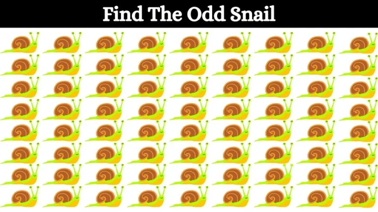 Optical Illusion Visual Test: If you have Eagle Eyes find the Odd Snail in 18 Seconds