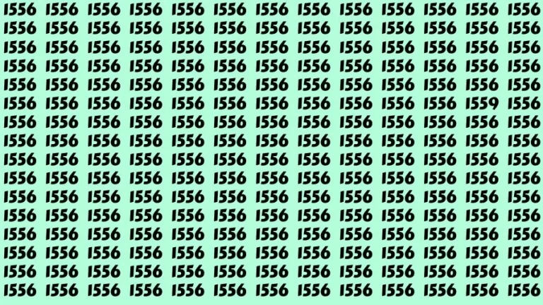 Optical Illusion Brain Challenge: If you have Sharp Eyes Find the Number 1559 among 1556 in 15 Secs