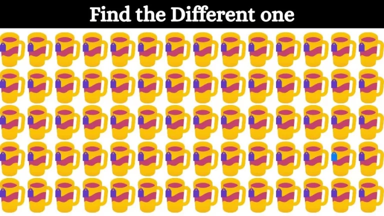 Brain Teaser Picture Puzzle: Can you find the Odd One Out in this Image?