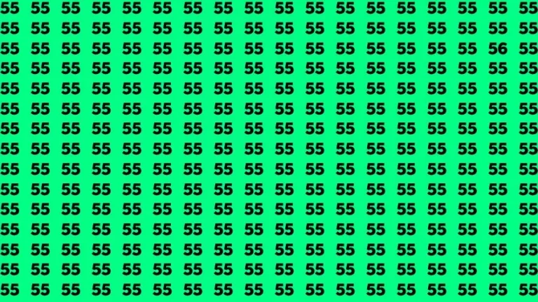 Optical Illusion Brain Challenge: If you have 50/50 Vision Find the Number 56 among 55 in 14 Secs