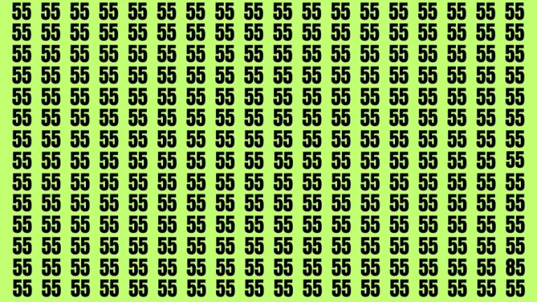 Visual Test: If you have Hawk Eyes Find the Number 85 in 15 Secs