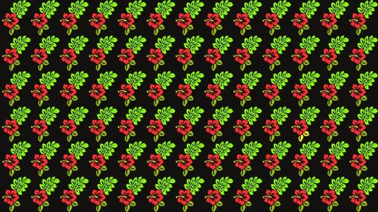 Optical Illusion Visual Test: If you have Eagle Eyes find the Odd Hibiscus in 18 Seconds