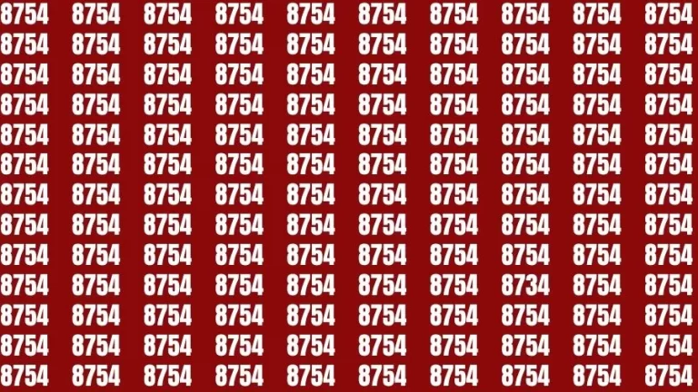 Observation Brain Challenge: If you have Eagle Eyes Find the number 8734 among 8754 in 13 Secs