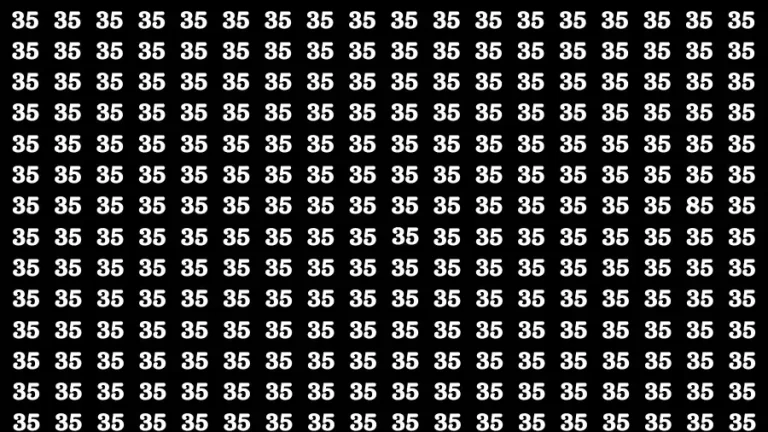 Observation Brain Challenge: If you have Eagle Eyes Find the Number 85 in 10 Secs