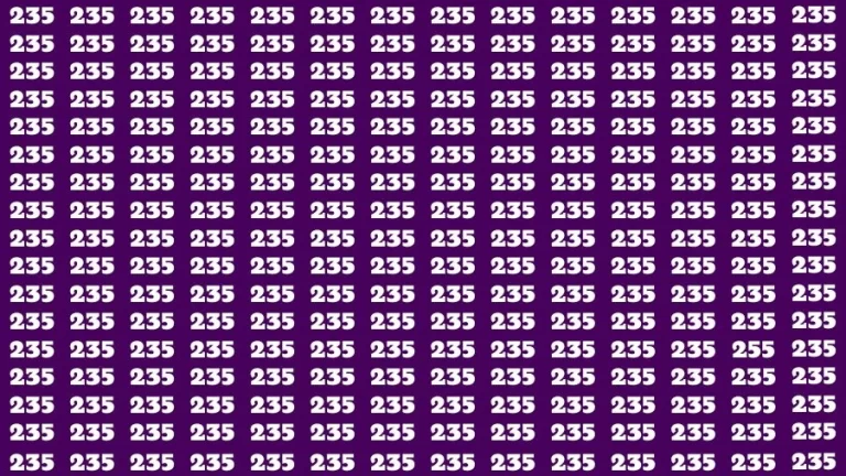 Observation Visual Test: If you have Hawk Eyes Find the Number 255 in 13 Secs