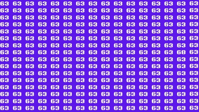 Observation Brain Challenge: If you have 50/50 Vision Find the Number 68 among 63 in 14 Secs