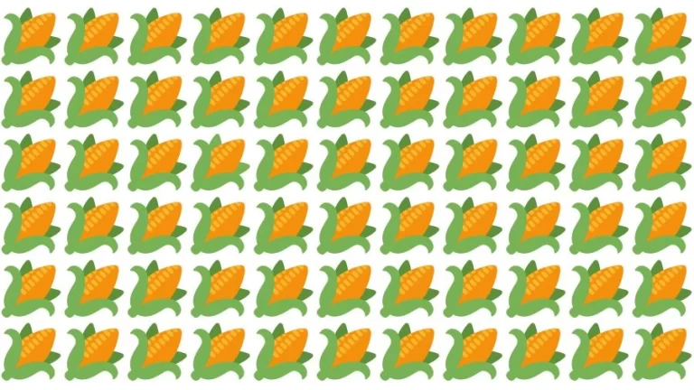 Optical Illusion Visual Test: If you have Eagle Eyes find the Odd Corn in 18 Seconds