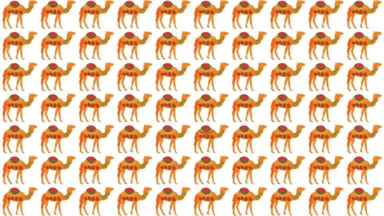 Optical Illusion Visual Test: If you have Eagle Eyes find the Odd Camel in 18 Seconds