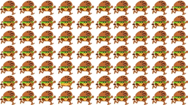 Optical Illusion Visual Test: If you have Eagle Eyes find the Odd Burger in 18 Seconds