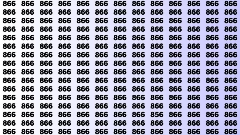 Optical Illusion Brain Challenge: If you have Hawk Eyes Find the Number 856 among 866 in 12 Secs