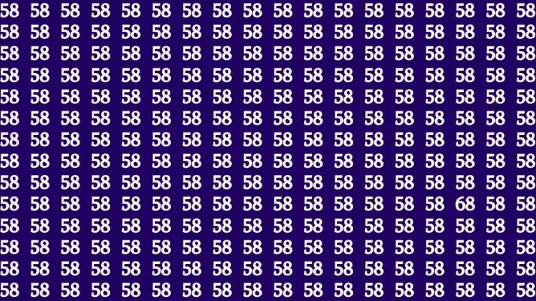 Optical Illusion Brain Challenge: If you have 50/50 Vision Find the Number 68 among 58 in 14 Secs