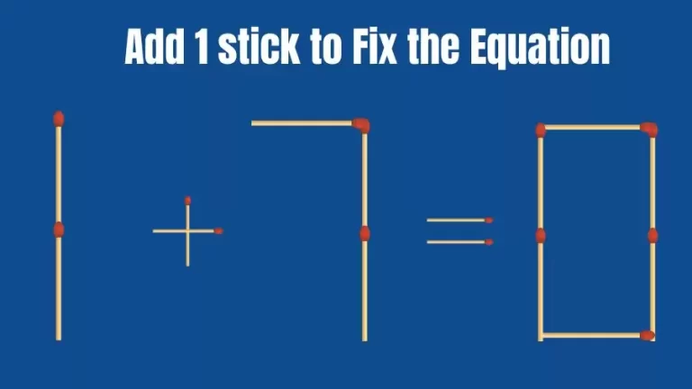 Brain Teaser: 1+7=0 Add 1 Stick To Fix The Equation