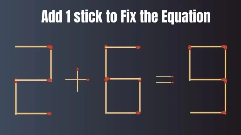 Brain Teaser: 2+6=9 Add 1 Stick To Fix The Equation | Matchstick Puzzles