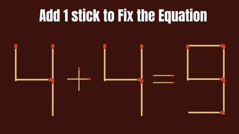 Brain Teaser: 4+4=9 Add 1 Matchstick to Fix the Equation | Matchsticks Puzzle