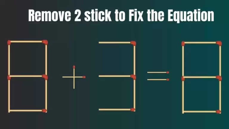 Brain Teaser: 8+3=8 Remove 2 Sticks To Fix The Equation