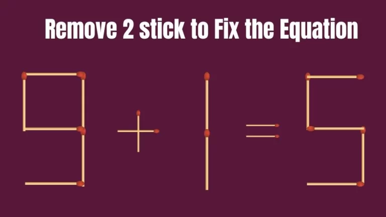 Brain Teaser: 9+1=5 Remove 2 Stick To Fix The Equation | Matchstick Puzzles