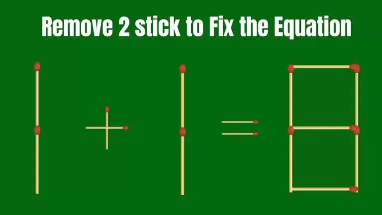 Brain Teaser IQ Challenge: 1+1=8 Remove 2 Matchsticks to Fix the Equation