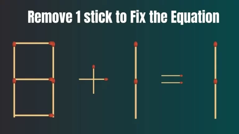 Brain Teaser IQ Challenge: 8+1=1 Remove 1 Matchstick to Fix the Equation | Matchstick Puzzles