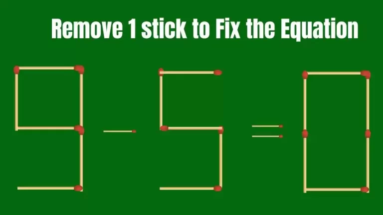 Brain Teaser IQ Challenge: 9-5=0 Remove 1 Matchstick to Fix the Equation