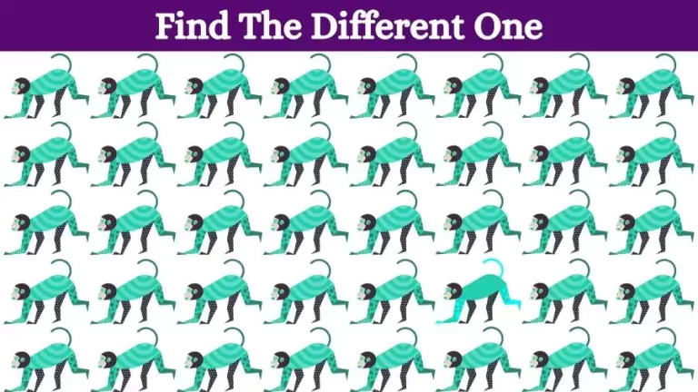 Brain Test: Can you Spot the Odd One Out in 18 Secs? Visual Puzzle