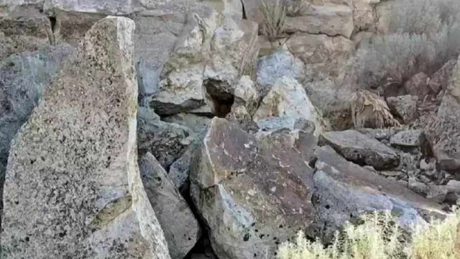 Can You Find The Hidden Rabbit Between Rocks within 30 Secs? Explanation and Solution to the Optical Illusion
