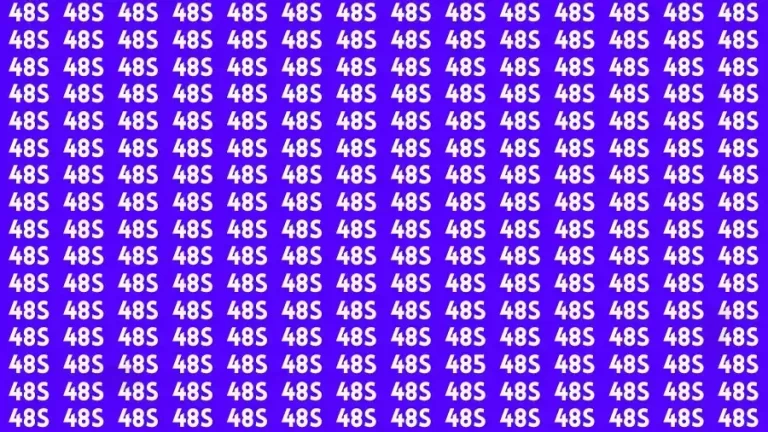 Can you Find the Hidden Number 485 in 8 Secs
