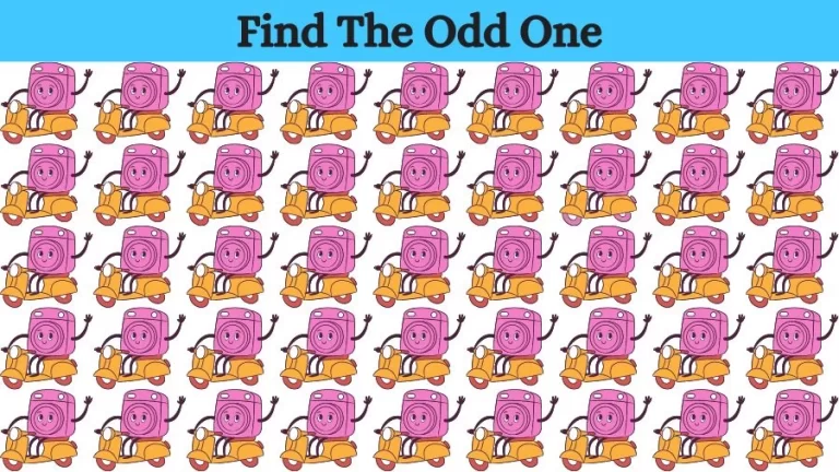 Can you spot the Odd One Out in this Image? Brain Teaser Picture Puzzle