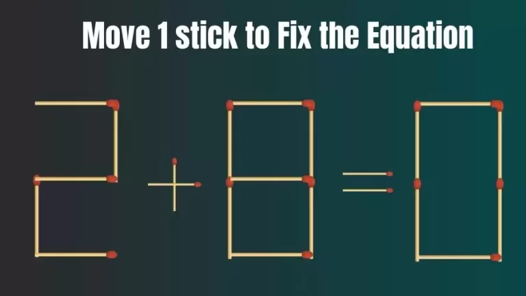 Matchstick Riddle: 2+8=0 Fix The Equation By Moving 1 Stick