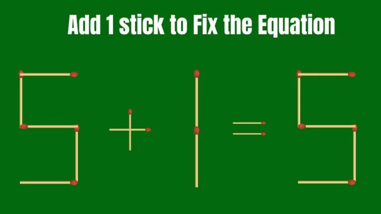 Matchstick Riddle: 5+1=5 Fix The Equation By Adding 1 Stick | Matchstick Puzzle