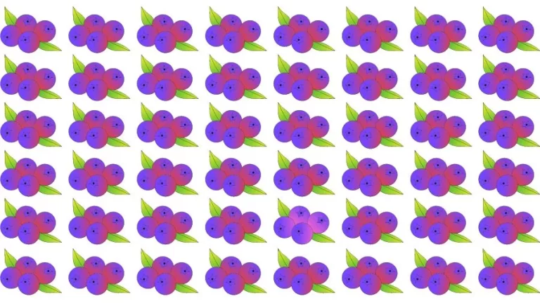 Optical Illusion Brain Challenge: Can you find the Odd Blueberry in 12 Seconds?