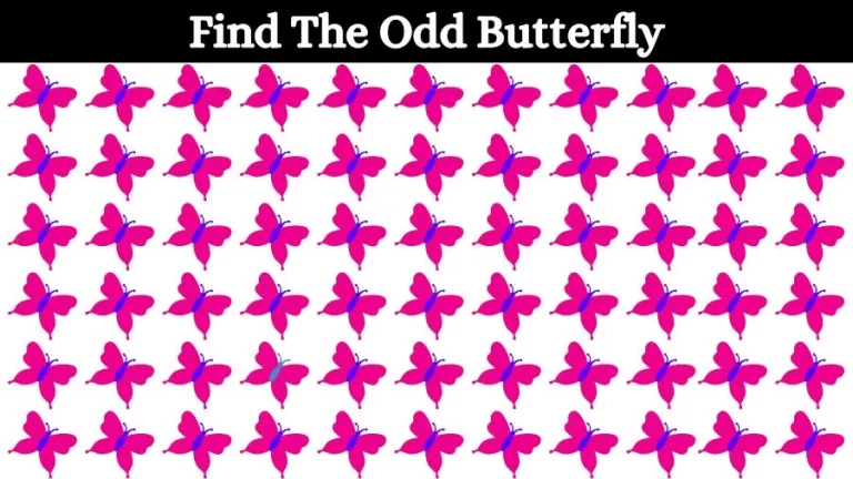 Optical Illusion Brain Challenge: Can you find the Odd Butterfly in 12 Seconds?