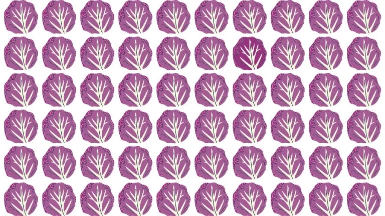 Optical Illusion Brain Challenge: Can you find the Odd Cabbage in 12 Seconds?