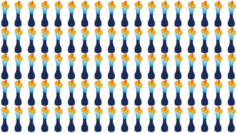 Optical Illusion Brain Challenge: Can you find the Odd Flower vase in 12 Seconds?