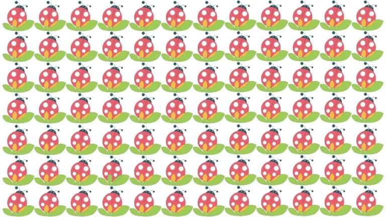 Optical Illusion Brain Challenge: Can you find the Odd Ladybug in 12 Seconds?