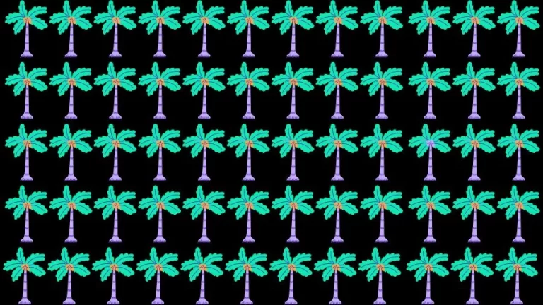 Optical Illusion Brain Challenge: Can you find the Odd Tree in 12 Seconds?