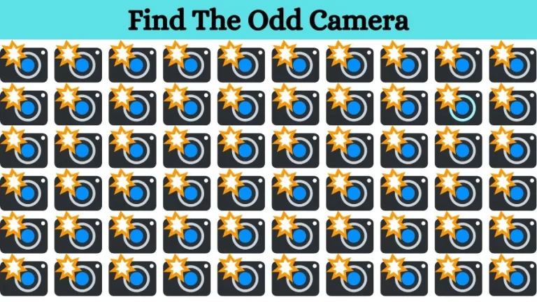 Optical Illusion Eye Test: Can you find the Odd Camera in 20 Seconds?