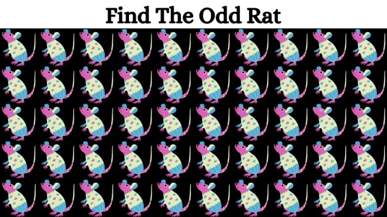 Optical Illusion Eye Test: Can you find the Odd Rat in 20 Seconds?