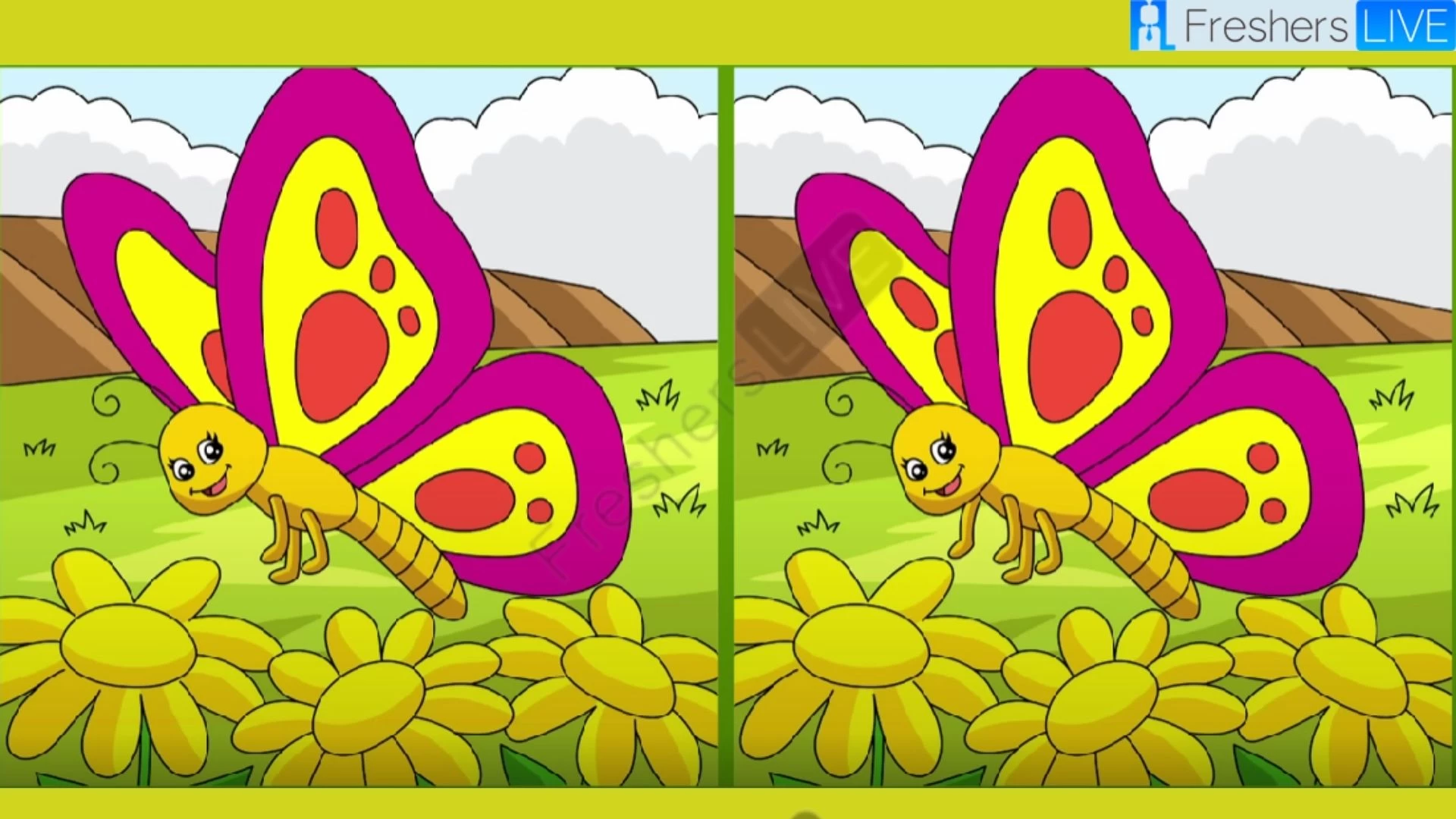 Spot the 3 Differences in the Butterfly Pictures – Test Your Observation Skills!