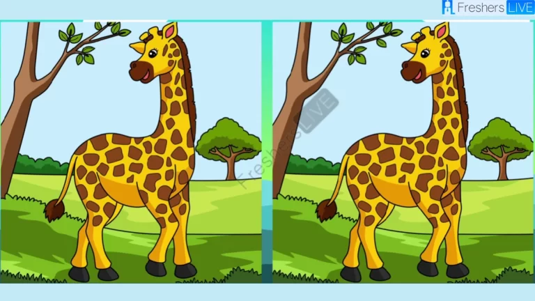 Spot the 3 Differences in the Giraffe Pictures – Test Your Observation Skills!