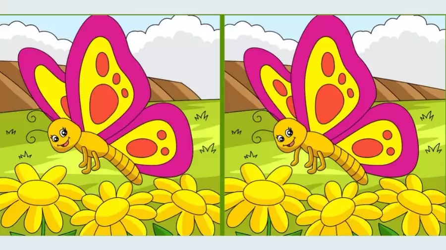 Test Your Visual Acuity by Finding 3 Differences in This Spot the Difference Game
