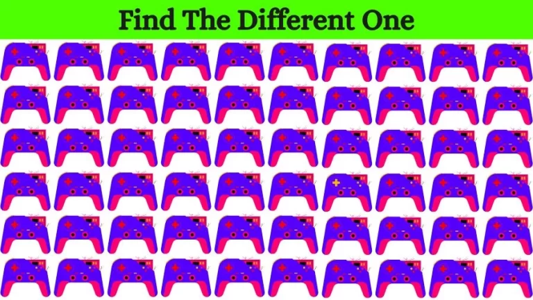 Visual Test: Can you Circle the Odd One Out in this Image