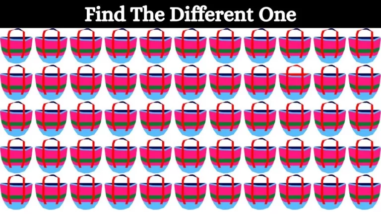 Visual Test: Can you spot the Odd One Out in this Image in 10 Secs?