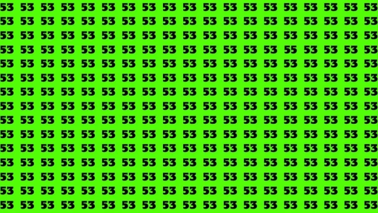 Optical Illusion Brain Challenge: If you have 50/50 Vision Find the Number 55 among 53 in 14 Secs