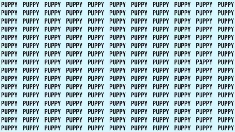 Visual Test: If you have Eagle Eyes find the Word Pappy among Puppy in 12 Secs